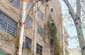 ����Ĺ���