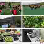 �������ķ��������h��˾һ��������Ӱ������Цʹ