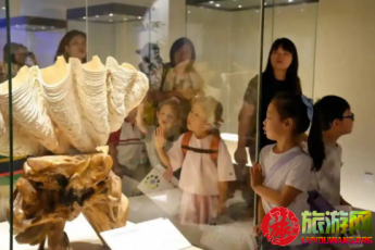 ��Ȥ�M�M���㽭���I(y��)���΄�(chu��ng)��(ch��ng)�����Ͱ����;�Ʒ�ξ��l(f��)��