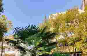 ��O�ː�(��i)��