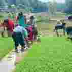 �����L(zh��ng)ɳ��߅�ġ���rʥ�ء�