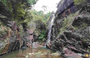 �H���¹��{��