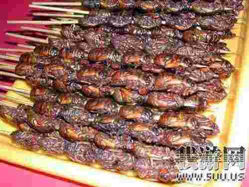 ���ξW(w��ng)