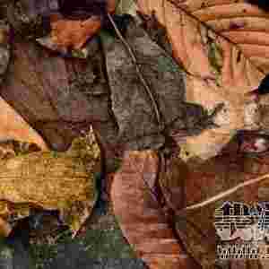 �殐�Ą������b��