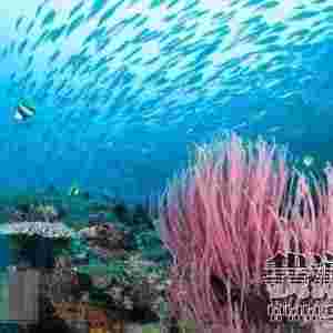 ��ˮ�ߵ�����TOP10