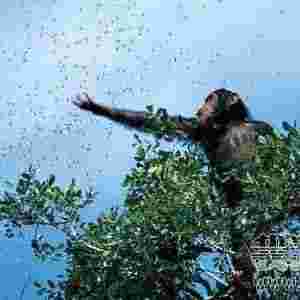 2009���ҵ�����шDƬ