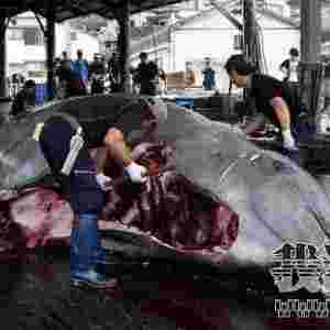 �ձ����������L�~�F��