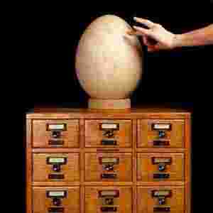 ���M�����W��Ȼ�vʷ�����^