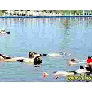 �Ї�����֮�����\��[�D]