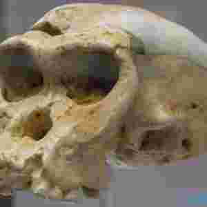 �о��ˆT�l�F��֪���纣�[���y�� �_�J�ھ����ǧ��ǰ���y