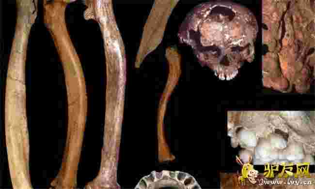 ����������