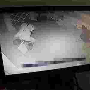 �Ї�ʮ�����ЦС͵ ���̲������\Ҳ���ӗ�