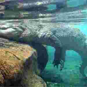 11�qŮ�����{�~ �T�����ۏ��{�~���о�С���