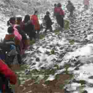 6�q��6�f���όW �����ƶ�׌���ӂ����˸���ů�ļ�