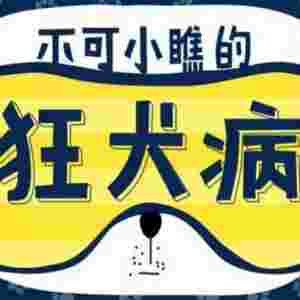 ������ʮ������� ���̲�ֻ���ŵڶ�