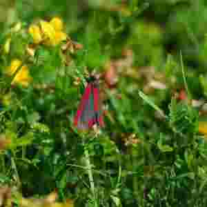 ���������������w�� �Ⱥ���߀Ҫ����ʮ���w��