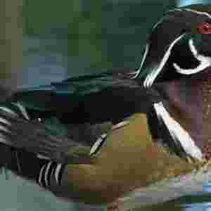 ��������������ʮ���B� �Ї����\�u���ϰ���