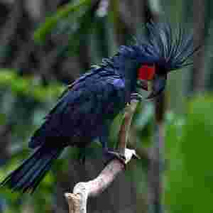 ���������F�Ą������� �G���R�rֵ1600�f��Ԫ