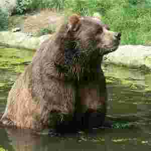 ����ʮ�����صĄ��� �{(l��n)�L�����^�ʹ���һ����