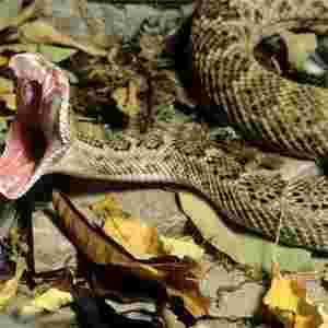 ����ʮ�������� ӡ�����R�߾�Ȼ�����ŵ�һ