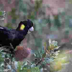 ʮ��еĺ� ���B ����������� ���B����