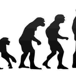 ��������Σ�U�Ą������а� �F��΁ţ��Һ���Ԛ���20��������