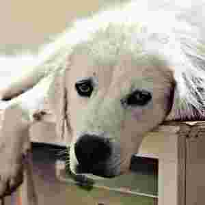 �����Ϲ������(qi��ng)�Ĺ����� �_���f��Ȯ�������(qi��ng)