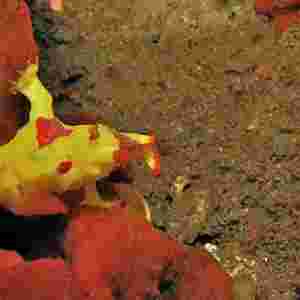 �������صĺ����������� ��߅���~6���w��������֮�