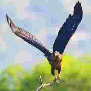 ����ʮ����͵������� ���|���H�ŵ���