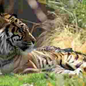 ؈�Ƅ��ﱼ���ٶ����� �C���r�ٿ��_115����