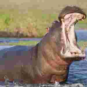 ��������ߵĲ���������� �L�i¹��һ���R�|��