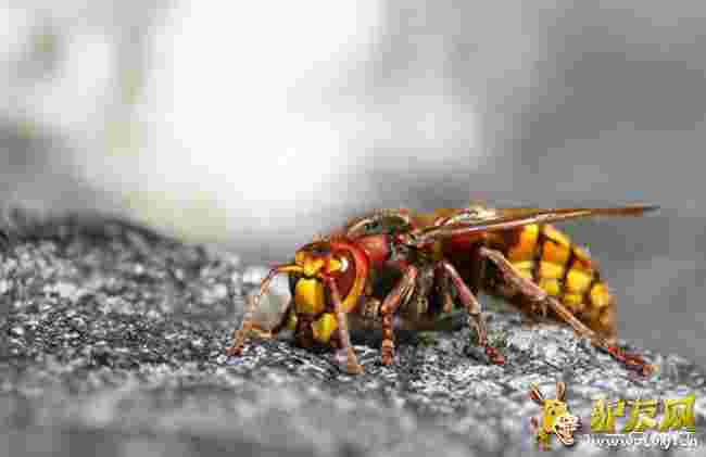 �����״ΰl�F�����ִ��S�䡱 ���Գ�������������