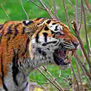 �����������ϻ� ���L��2.8�ף�β���L�s1��