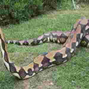 �������������� �W�y�����L�L�ȣ�12��