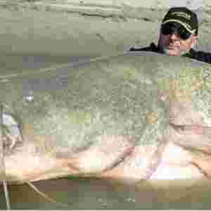 �����������T�~ �L3����600��