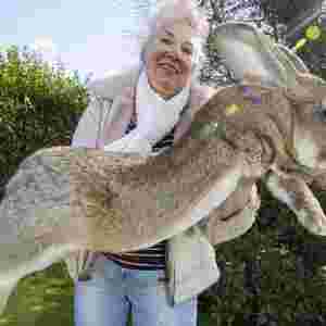 �������������� ����ʿ�����w�L��1.22�ף��w�أ�45��