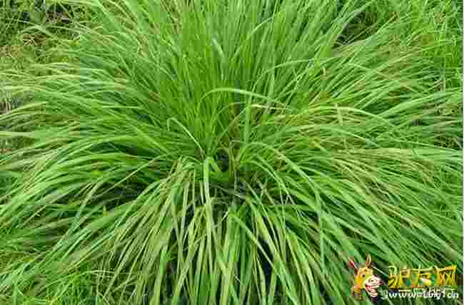 ����70������?