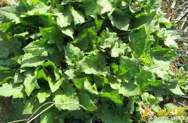 ���~�����