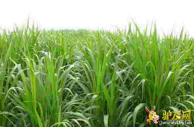 �_�������?