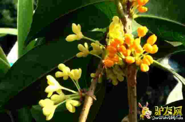 ���~�K��?