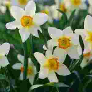 �Ї����yʮ������ ĵ�����H�ŵڶ�