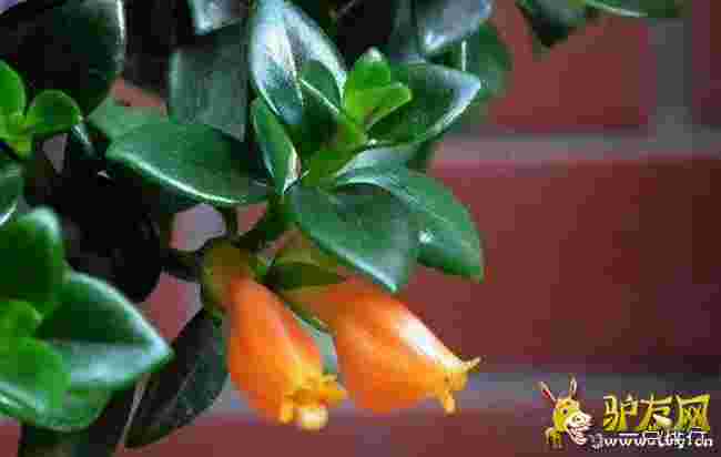 ���~���m