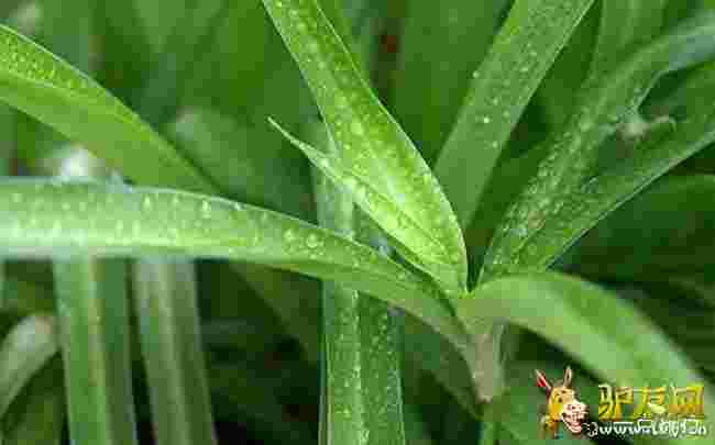 ���~���m