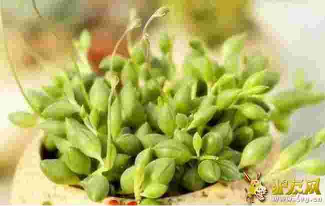 ������m?