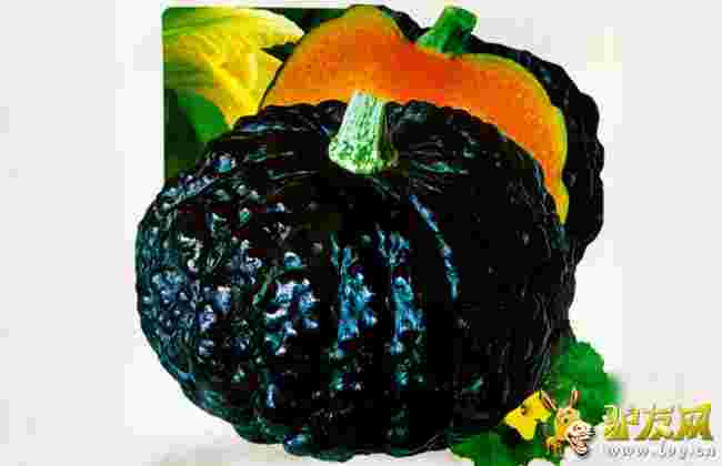 ������ʥ?