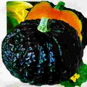 ��óԵ��Ϲ�Ʒ�N��ȫ �ķN�Ϲ��������