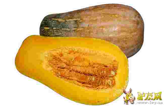 Ŵ�����Ϲ�?