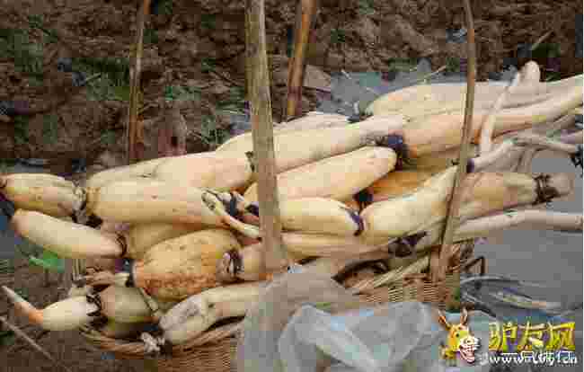 �B�d���ҷN?