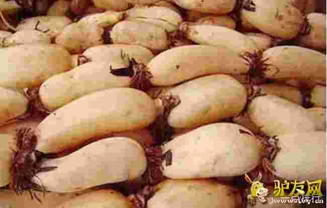 ���A�t��ź?