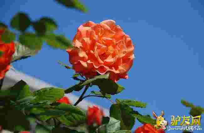 �������?